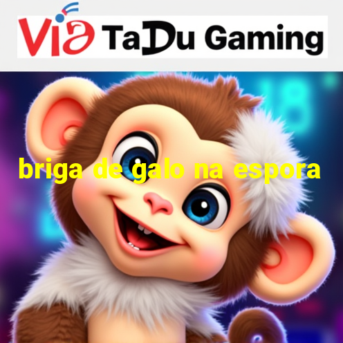 briga de galo na espora link para a bola